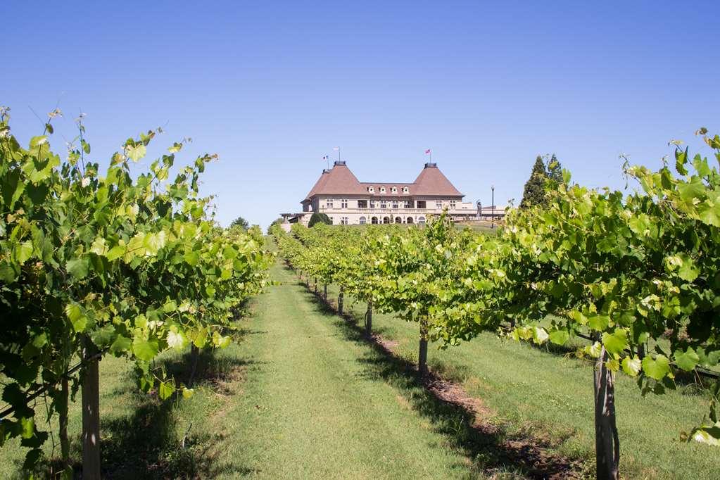 Chateau Elan Winery Braselton Zewnętrze zdjęcie