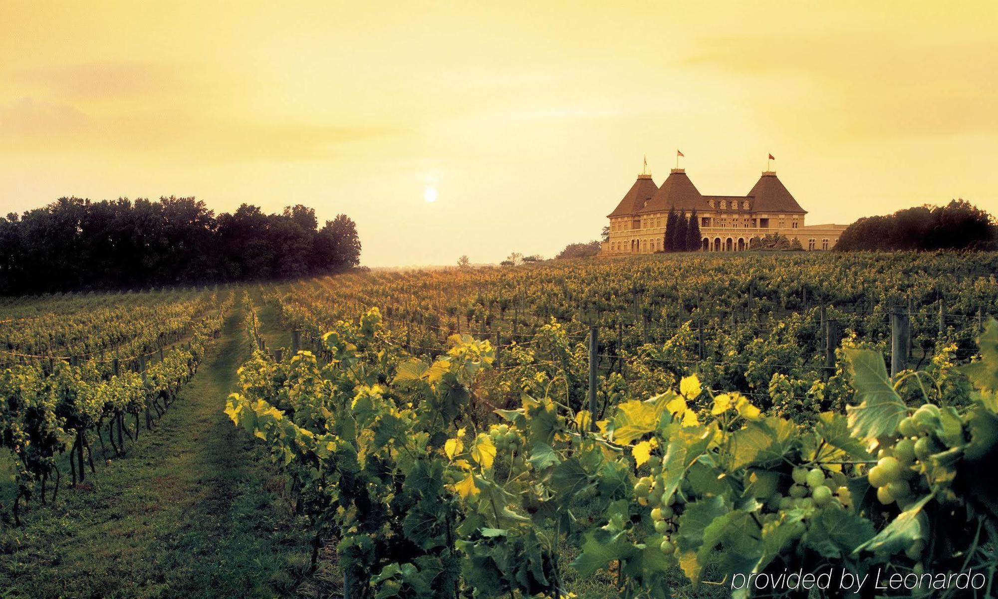 Chateau Elan Winery Braselton Zewnętrze zdjęcie