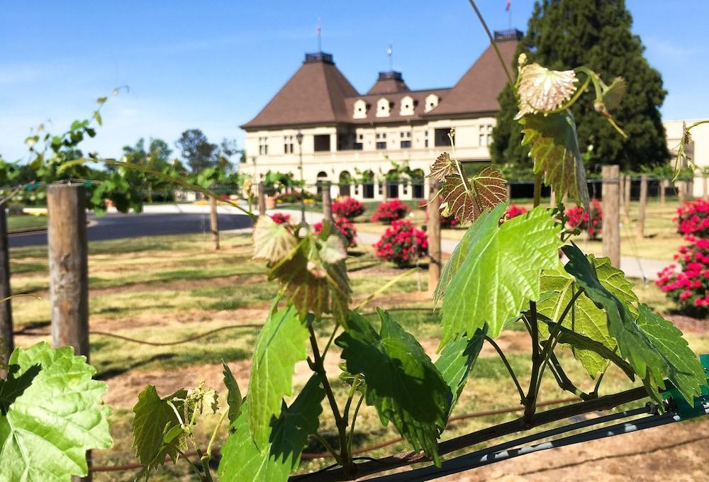 Chateau Elan Winery Braselton Zewnętrze zdjęcie